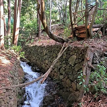 Lodge Maria Quinta 13 