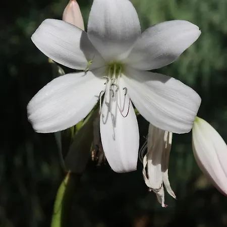 Jaktstuga Maria Quinta 13 