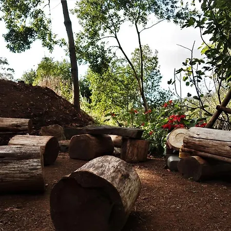 Orman Evi Maria Quinta 13 