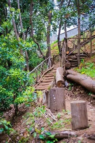 Maria Quinta 13  Maria Quinta Lodge Calheta (Madeira)