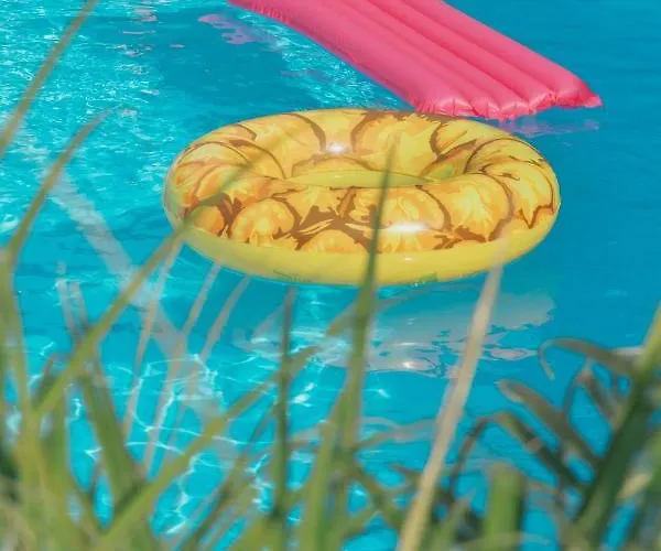 Maria Quinta 13  Maria Quinta Lodge Calheta (Madeira)