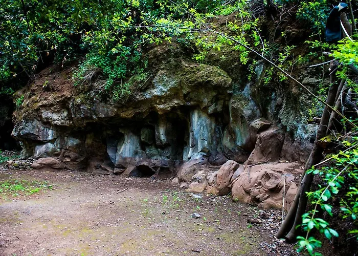Maria Quinta 13  Maria Quinta Calheta (Madeira)