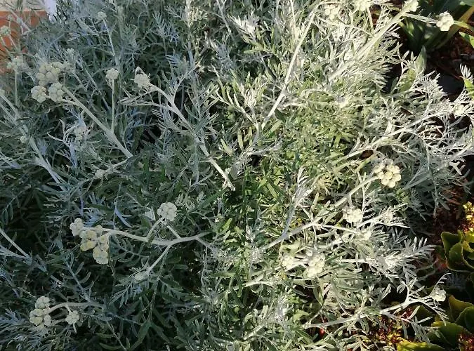 Maria Quinta 13  Maria Quinta Lodge *