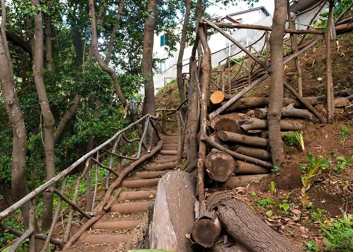 Maria Quinta 13  Maria Quinta *