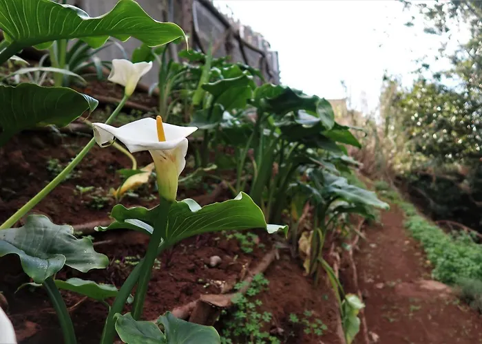 Lodge Maria Quinta 13  Maria Quinta *