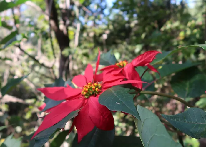 Maria Quinta 13  Maria Quinta Lodge *