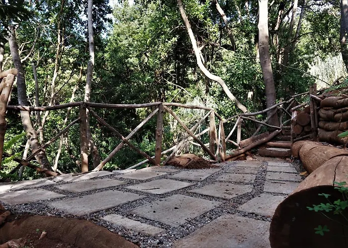 Lodge Maria Quinta 13  Maria Quinta Calheta (Madeira)