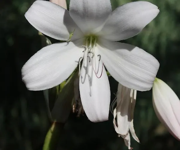 Lodge Maria Quinta 13  Maria Quinta