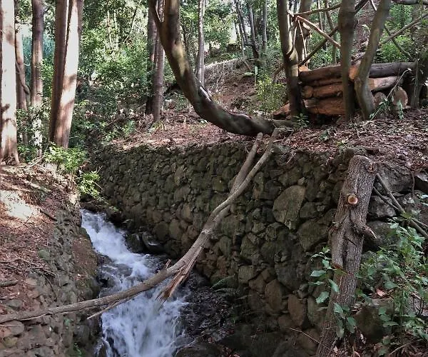 Maria Quinta 13  Maria Quinta Calheta (Madeira)